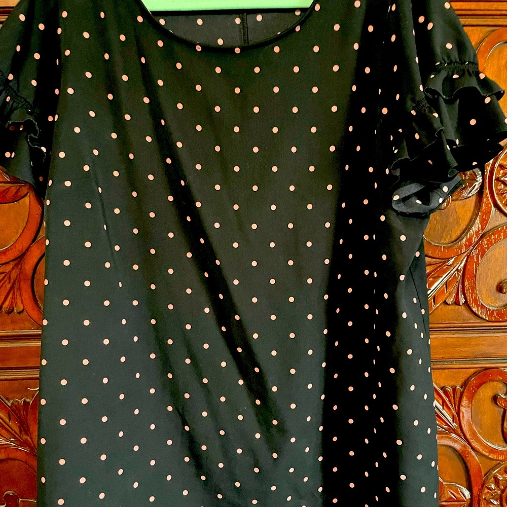 Lane Bryant Short Sleeve Top